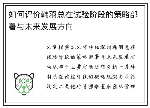 如何评价韩羽总在试验阶段的策略部署与未来发展方向