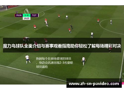 魔力鸟球队全面介绍与赛事观看指南助你轻松了解每场精彩对决 魔力鸟球队全面介绍与赛事观看指南助你轻松了解每场精彩对决