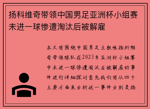 扬科维奇带领中国男足亚洲杯小组赛未进一球惨遭淘汰后被解雇